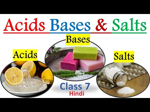 Acids Bases and Salts Class 7 in Hindi | Acids Bases and Salts in Hindi