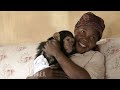 A Woman and Her Chimpanzees Heal Together After Trauma | The New Yorker