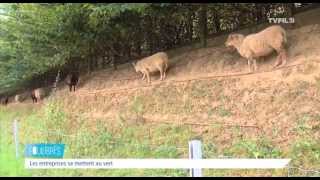 Equilibres – La nature reprend sa place en ville