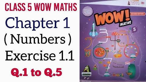 Exercise 1.1 Class 5 Wow Maths