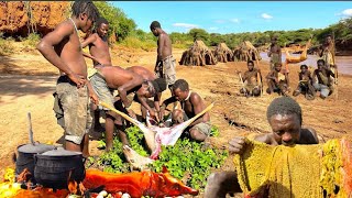 Cooking And Eating With Hadza: Traditional Life in The Forest