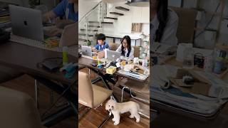 Sekolah Online Lagi Guys