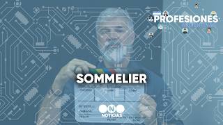 Profesiones Argentinas: SOMMERLIERS #TelefeNoticias