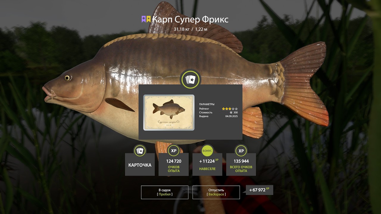 ПРОВЕРКА РАЗДАЧ НА МЕДНОМ И ДРУГИЕ ВОДОЕМЫ В РУССКОЙ РЫБАЛКЕ 4 СТРИМ