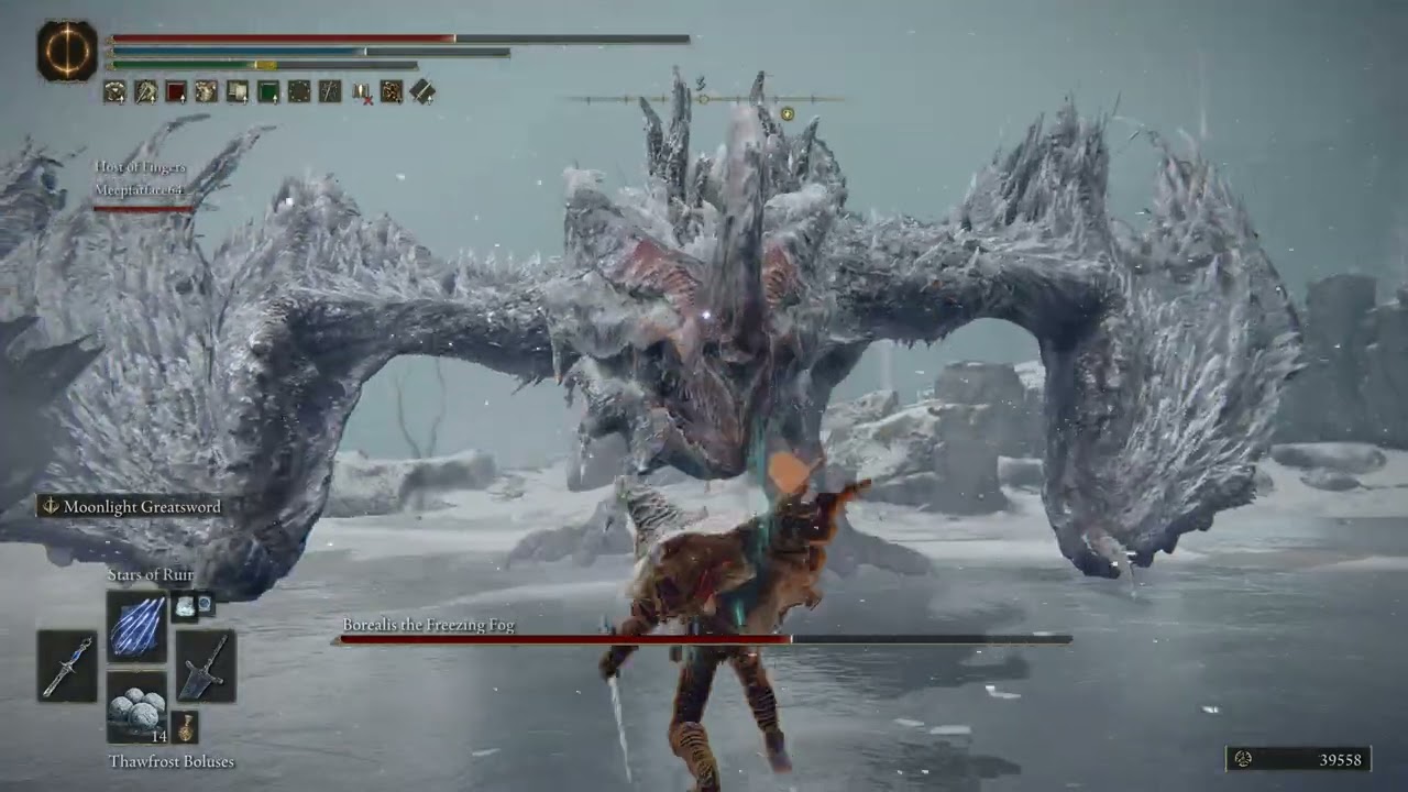 Elden Ring Meepfatface64 takes on Borealis the Freezing Fog(Sorcery build)