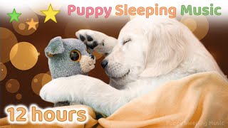 ☆ 12 HOURS ☆ Puppy Sleeping Music NO ADS 🐶 ♫ Dog Relaxation Music ♫ Dog Sleep Music ♫ Puppy Music ♫