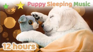 ☆ 12 HOURS ☆ Puppy Sleeping Music 🐶💤 Dog Relaxation Music 🐕 Dog Sleep Music 💗 Puppy Music 🐾