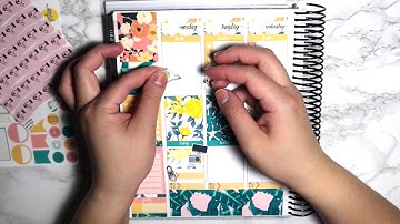 PWM feat. PaperDoveShop