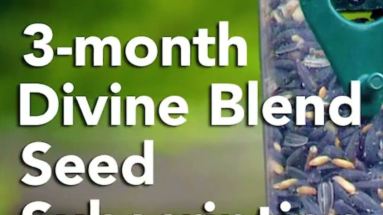 BestNest Backyard Wildlife: Premium Seed, Feed & Feeders for Your Home (Horizontal)