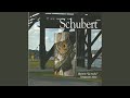 Miniature de la vidéo de la chanson Piano Quintet In A Major, D 667 "The Trout": Iii. Scherzo (Presto)
