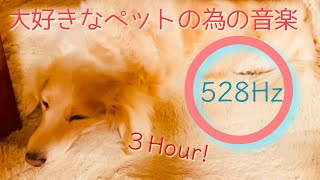 【528Hz】ペットの為の音楽　ソルフェジオ　お昼寝　お留守番　体調不良改善　安眠　【3時間BGM】