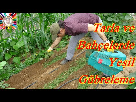 Video: Bahçe için gübreler: organik tarım lehine