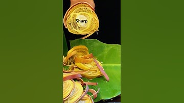 Ultimate Banana Flower Cutting👄🌿| Satisfying ASMR & Precision 🔪#cuttingskills #cuttingsounds #usa