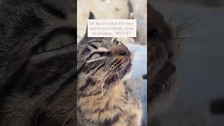 Our Little Baby Needs You For Teeth Surgery