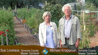 UCCE Sonoma County Master Gardeners - Growing a Thriving Vegetable Garden with Less Water