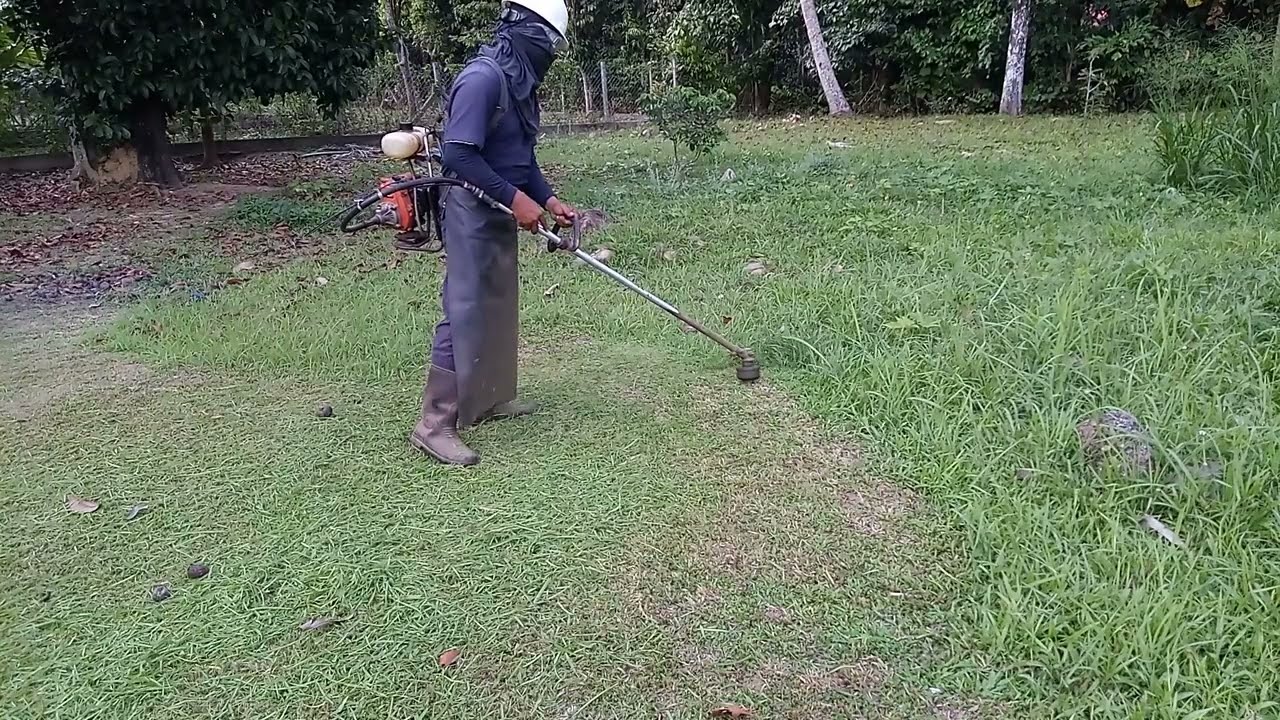 Easyman & Brush Cutter. Mitsupower 328. Kampung Pauh. Gasoline B-Queen. V2