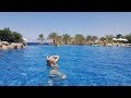 🇯🇴Movenpick Resort & Spa Tala bay Aqaba 5*. Мовенпик Тала Бей