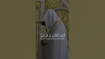اللهم صل و سلم على محمد‎ القارئ: عبدالمحسن القاسم السورة: الاعراف (178-180)