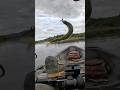 Pesca de Pejerrey en Kayak 🐟 #fishinglife #pesca #pejerrey