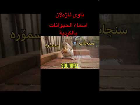 اسماء الحيوانات بالكردية     