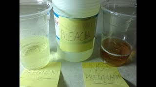 Bleach pregnancy test | Positive vs negative result | Homemade pregnancy test with bleach