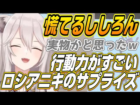 【ホロライブ切り抜き/獅白ぼたん】ししろんがロシアニキからのサプライズに慌ててしまうw