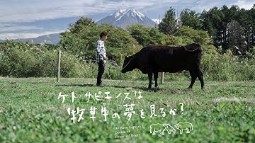 映画 『ケト・サピエンスは牧草牛の夢を見るか？』予告編 第二弾