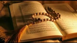 HOLY QUR'AN || NONSTOP 11 JAM BACAAN AL QUR'AN MERDU JUZ 1 SAMPAI JUZ 30 FULL LENGKAP || MUROJAAH