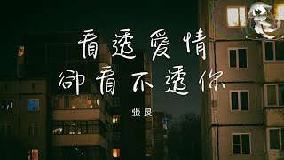 張良 - 看透愛情卻看不透你「我以為看透了愛情 卻看透不了你」【動態歌詞】♪