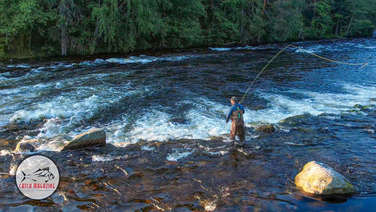 FINLAND – Fly Fishing the Legendary Baitfish Migration for Trophy Brown Trout by Todd Moen
