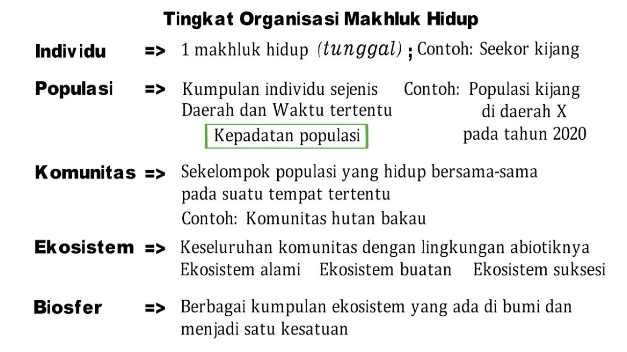 Contoh Individu VII.13.a. Individu, Populasi, Komunitas, Ekosistem, Biosfer (Teori ...
