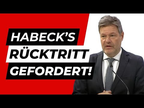 Kubicki (FDP) dreht durch: „Habeck muss weg oder Heizungsgesetz muss weg“