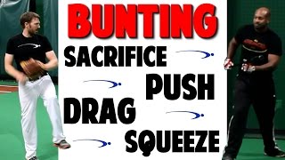 Baseball Bunting Series | How To: Bunt Types | Video 3 of 3 (Pro Speed Baseball)