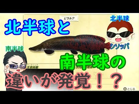 【あつもり考察班】北半球と南半球の違いが発覚！？　シソッパの動画で判明したことをお伝えしていきます　あつまれどうぶつの森　攻略＆解説