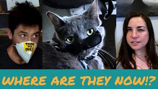 Where Are Alana & Kris Now? Follow the Purrminator to @CatInTheFridgeFilms to Find Out... by Cat CATastrophes 12,122 views 3 years ago 39 seconds