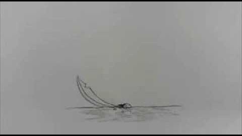 Principles of Animation Showreel 2013