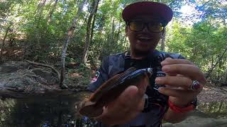 MEMANCING & MANDI DI AIR TERJUN ! GUNA ROTI DAPAT IKAN RARE?