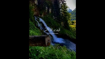 تلك حدود الله #قرآن #تلاوات #ياسرالدوسري #شاشه_سوداء #راحة_نفسية