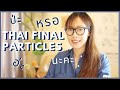 Common Final Particles in Thai Language (with Real-Life Examples)