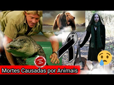 10 Mortes Famosas causadas por Animais