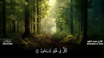 سورة يس كاملة مكتوبة  للقارئ الشيخ محمد الفقيه  تلاوة خاشعة ومؤثرة😌💚