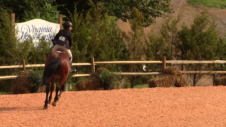 Aoife Magner riding Ballinadee cl 40