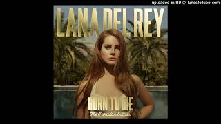 Lana Del Rey - Video Games (Official Instrumental)