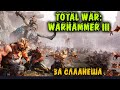 За слаанешей - Total War: Warhammer III Прохождение