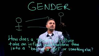 Gender Intelligence | Part 1 of 2: Defining Sex & Gender