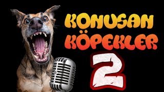 Konuşan Köpekler 2 - En Komik Köpek Videoları
Konuşan Köpekler serisinin ikinci bölümü. Yoksa kanalımıza hala abone olmadınız mı ? Komik köpek videoları serimizin bu bölümünde köpekler şaşkınlıkları ve sakarlıklarıyla bizi güldürüyorlar.
Merhaba
Arkadaşlar lütfen videolarımız için yorum yazmayı ihmal etmeyin.
ve lütfen kanalımıza abone olun.
Bu videoları kanalımızda paylaşmayı ve sizden gelen yorumları okumak çok güzel
umuyorum kanalımızda bizler için hazırladığım videoları beğeniyorsunuzdur.
Ben çok eğlenerek hazırlıyor ve izliyorum.
Lütfen videolarımızı beğenmeyi fikirlerinizi yorum kısmına yazmayı ve kanalımıza ABONE olarak ailemize katılmayı ihmal etmeyin.
Videolarımı izledikten sonra beğenirseniz ve kanalıma abone olursanız çok sevinirim.
Kendinize iyi bakın, anne ve babanızı üzmeyin.
Hergün süt içmeyi ve iyi beslenmeyi unutmayın.
Ha birde Türkiyemizi çok ama çok çok çok sevin.
Eğlenceli videolarımızın devamından anında haberdar olmak için abone olmayı unutmayın :)
Konuşan Köpekler 1
https://youtu.be/q73rcsvXq5Q
Konuşan Köpekler 2
https://youtu.be/YfzOM8HmPrM
Konuşan Köpekler 3
https://youtu.be/5CV0N_RJvCs
Konuşan Köpekler 4
https://youtu.be/I 7w67p_qc
Konuşan Köpekler 5
https://youtu.be/tX5lz2xTmZI
Konuşan Köpekler 6
https://youtu.be/AdaaL6tyn9U
Konuşan Köpekler 7
https://youtu.be/60-7qWu6GxM
Konuşan Köpekler 1 - 4
https://youtu.be/pVqYD15dfGU
Konuşan Köpekler 5 - 7
https://youtu.be/IjjXzljXUSM
#Killtec#KonusanKöpekler #Köpek
Butün bölümlerin Listesi
https://www.youtube.com/watch?v=q73rcsvXq5Q&list=PLCl44oQHGv7ejCAcrtfW_8aBt5tvSO3Y_&index=2&t=0s
Bizi takip edmeyi unutmayin!
https://bit.ly/2v15uR9
kedi videosu ,hayvanlar, konuşan kediler 9 , hayvan sesleri, hayvan videoları, hayvan animasyonları, hayvan antep dublaj, hayvan amerikan dublaj, komik kedi videoları konuşan, konuşan hayvanlar, konuşan köpekler, konuşan kediler 6, konuşan kediler 5, konuşan kediler 1, konuşan kediler, kedi videoları, köpek sesi, köpek videoları, komik, hayvan videoları komik , konuşan kediler 6 , konuşan kediler 7 , konuşan kediler 8 , konuşan hayvanlar 1 , konuşan hayvanlar 2 Konuşan Köpekler 2 - En Komik Köpek Videoları