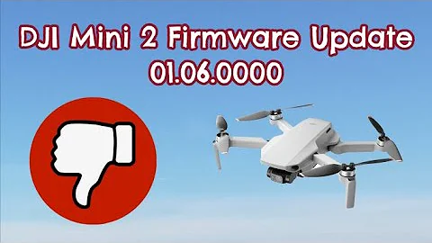 DJI Mini 2 Firmware Update 01.06.0000 / May Not Be What You're Looking For