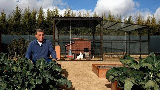 Comienzan las Cosechas del Huerto de Invierno!! Brócolis, Repollos, Romanescos, . . .