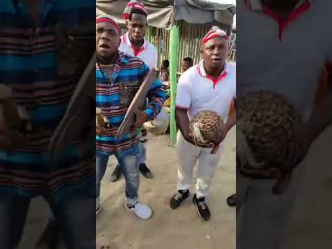 Egwu Ogene in