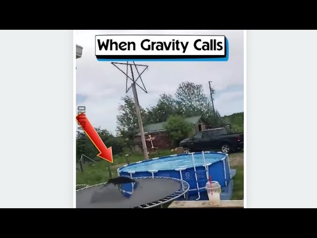 When Gravity Calls - Shawn Michael Notorio class=